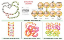 Плакаты и таблицы по общей химии - «globural.ru» - Минусинск