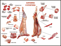 Правила разделки мясных туш "Баранина и ягнятина" 1000*1400 винил - «globural.ru» - Минусинск