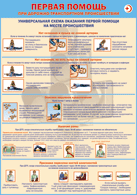 Плакат "Универсальная схема оказания первой помощи на месте происшествия" 1000*1400 винил - «globural.ru» - Минусинск