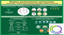 Стенд "Формы размножения организмов" - «globural.ru» - Минусинск