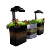 Учебная установка "Аквапоника"  - «globural.ru» - Минусинск