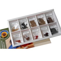 Коллекция "Плоды сельскохозяйственных растений" (вариант 2) - «globural.ru» - Минусинск