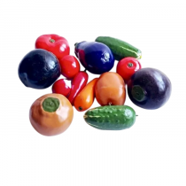 Комплект муляжей демонстрационный - «globural.ru» - Минусинск