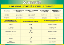 Таблица Сравнение понятий изомер и гомолог 1000*1400 винил - «globural.ru» - Минусинск