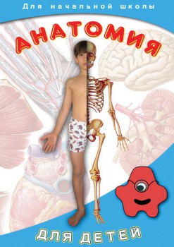 DVD  Анатомия для детей - Товары для образования