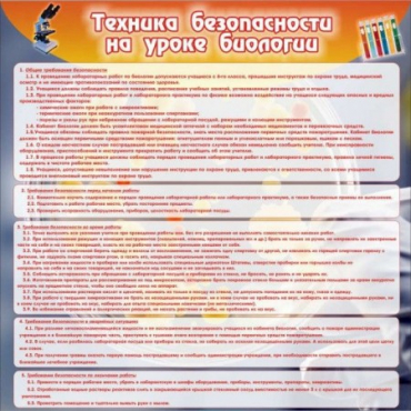 Стенд "Техника безопасности на уроках биологии" (вариант 1) - «globural.ru» - Минусинск