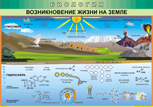 Таблица Возникновение жизни на Земле 1000*1400 винил - «globural.ru» - Минусинск