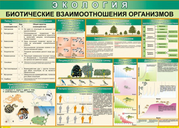 Таблица Биотические взаимоотношения организмов 1000*700 (винил) - «globural.ru» - Минусинск