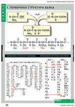 Химия. Белки и нуклеиновые кислоты (комплект таблиц) - «globural.ru» - Минусинск