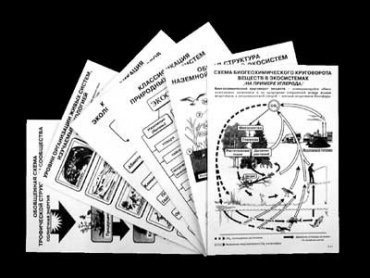 Комплект таблиц по экологии "Экосистема-экологическая единица окружающей среды" (лам,формат А4, 12 штук) - «globural.ru» - Минусинск