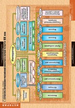 История. История России 8 класс (комплект таблиц) - «globural.ru» - Минусинск