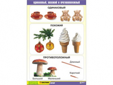 Таблица демонстрационная "Одинаковый, похожий и противоположный" (винил 70x100) - «globural.ru» - Минусинск