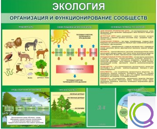 Стенд "Экология. Организация и функционирование сообществ" - «globural.ru» - Минусинск