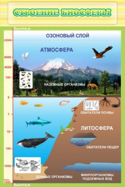 Стенд "Строение биосферы" - «globural.ru» - Минусинск