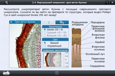 Интерактивные курсы. Биология 5 класс. Базовый  - «globural.ru» - Минусинск