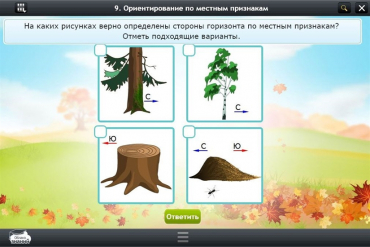 Интерактивные курсы. Окружающий мир 1 класс. Базовый - «globural.ru» - Минусинск