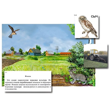 Магнитный плакат-аппликация "Поле: биоразнообразие и взаимосвязи в сообществе" - «globural.ru» - Минусинск