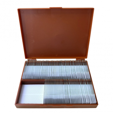 Комплект микропрепаратов по анатомии, ботанике, зоологии, общей биологии - «globural.ru» - Минусинск