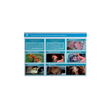 Стенд-планшет светодинамический "Изучение типических патологических процессов в организмах животных" - «globural.ru» - Минусинск