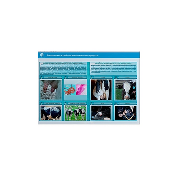 Стенд-планшет светодинамический «Изучение асептических и гнойных воспалительных процессов» - «globural.ru» - Минусинск