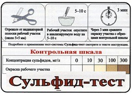 Тест-система «Сульфид-тест» - «globural.ru» - Минусинск